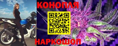 МДПВ Тула