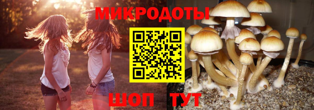 Галлюциногенные грибы MAGIC MUSHROOMS  Галлюциногенные грибы ЛСД  Вход с VPN  Благодарный 